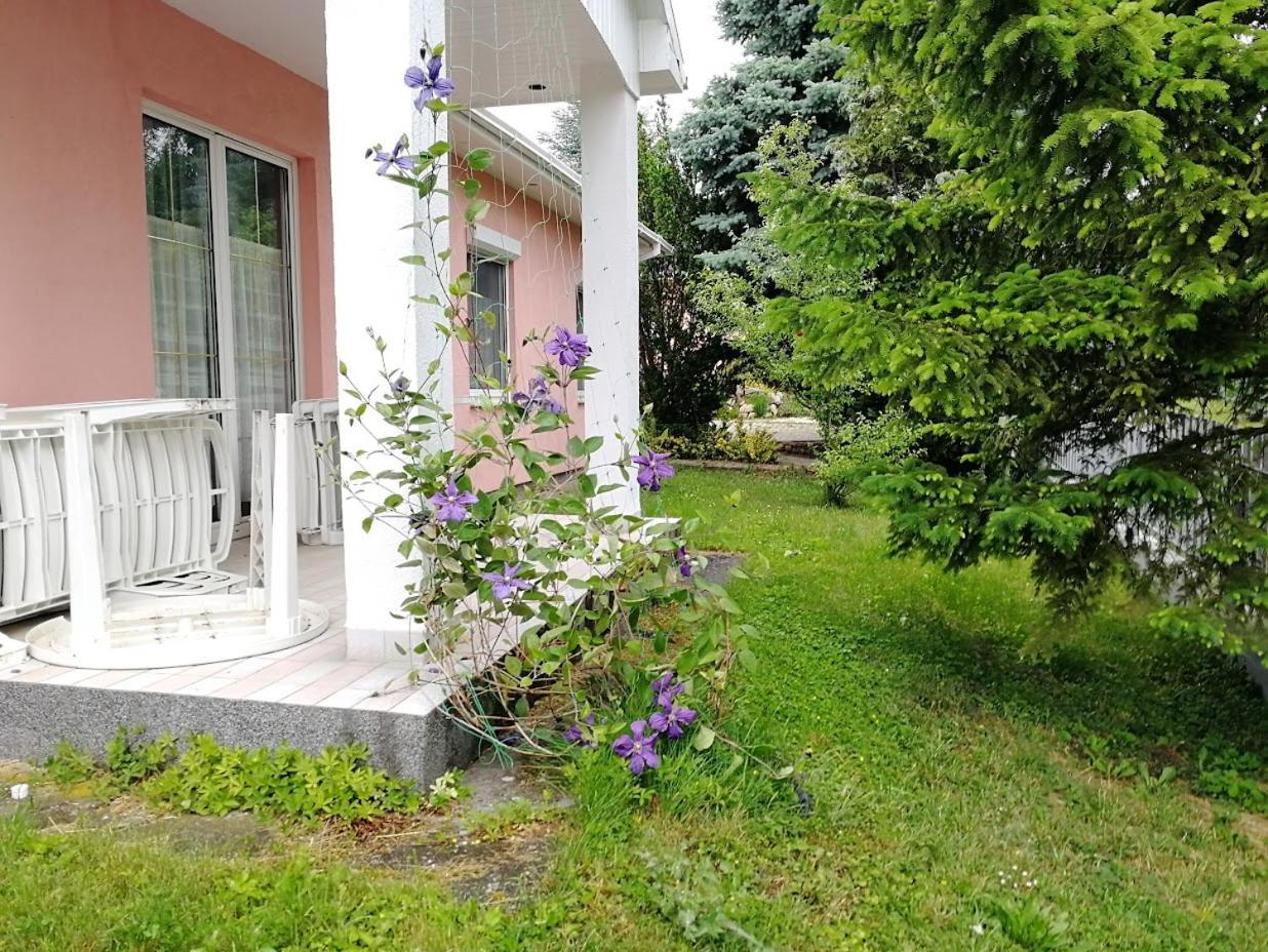 Feszek Apartmanhaz Vonyarcvashegy Exterior photo